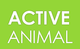 ACTIVE ANIMAL