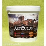 Articulus