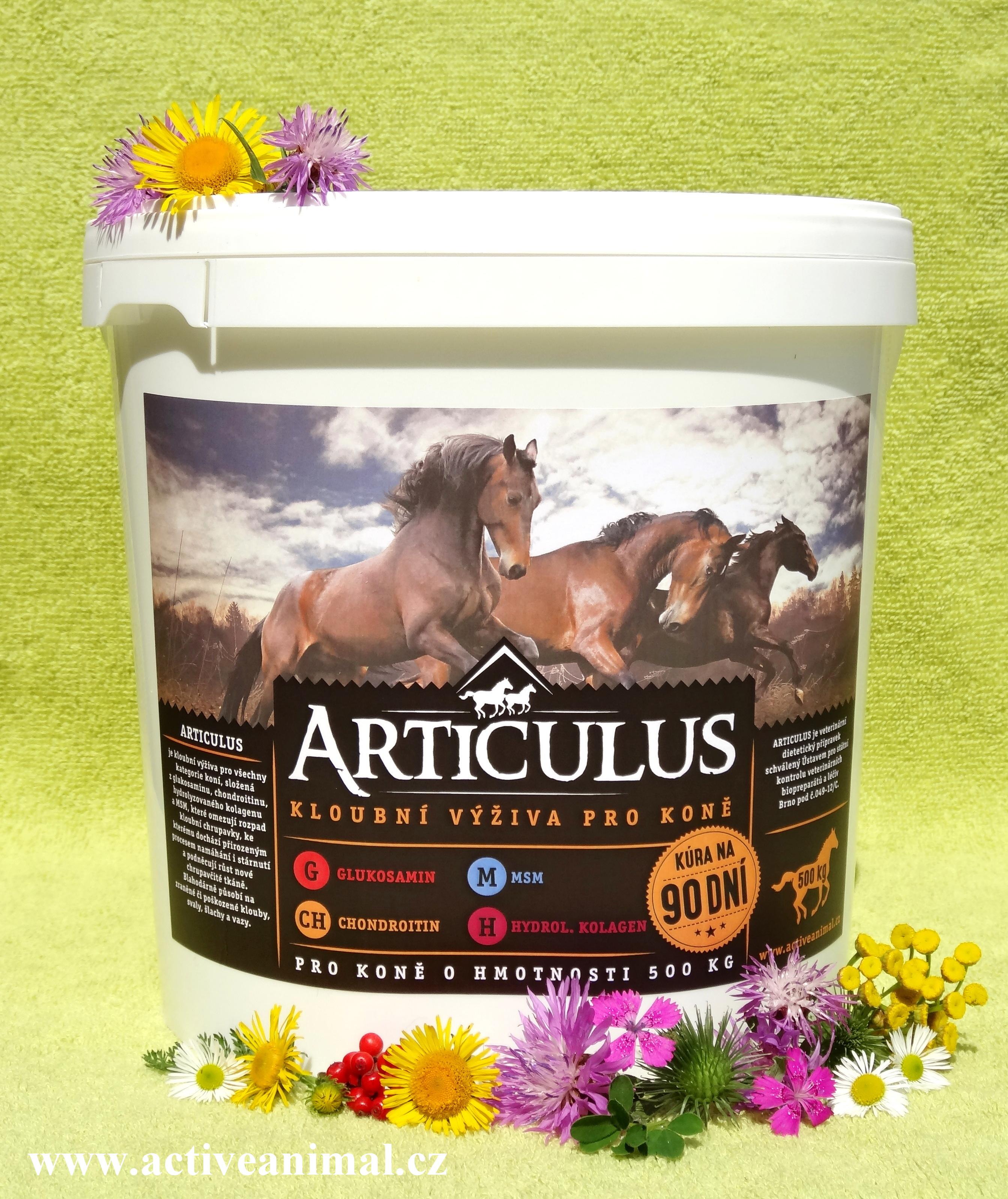 Articulus - kloubní výživa pro koně