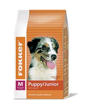 Puppy/Junior M